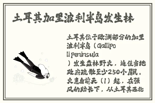啦啦啦在线观看视频3